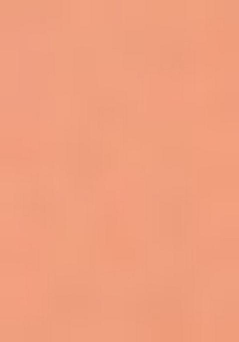 Peach Embroidered Blouse With Lehenga Set