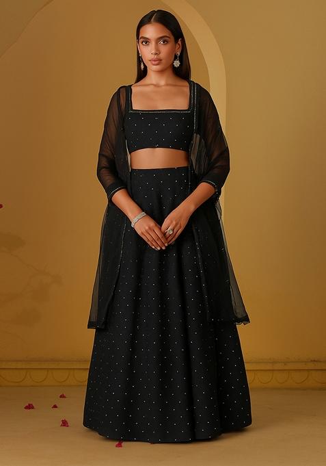 Black Silk Embroidered Lehenga Set