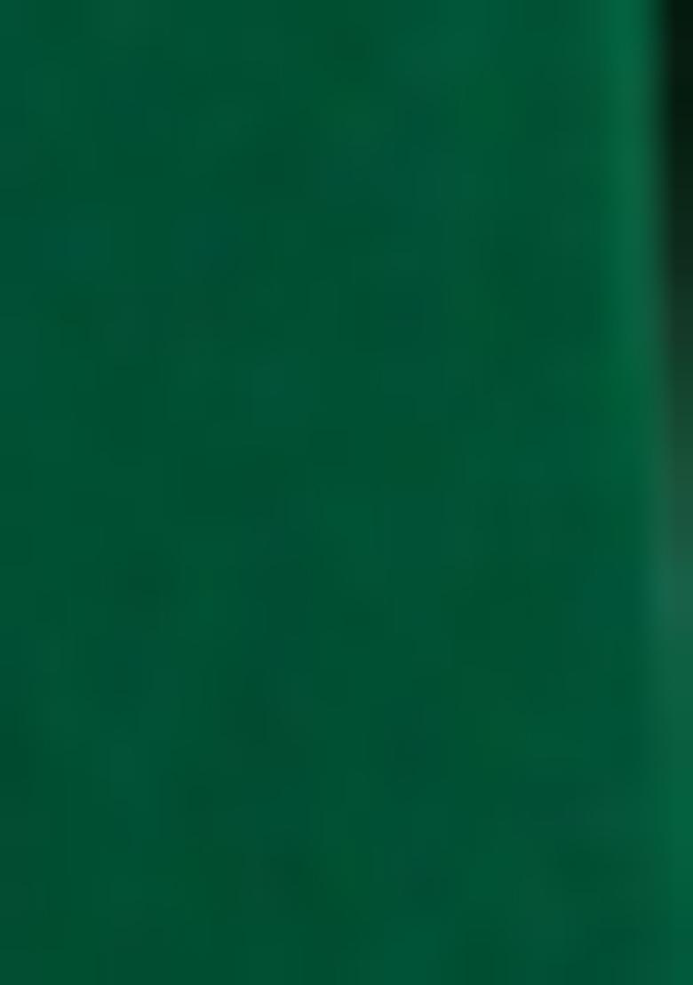 Dark Green Embroidered Blouse With Lehenga Set