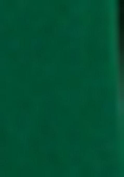 Dark Green Embroidered Blouse With Lehenga Set