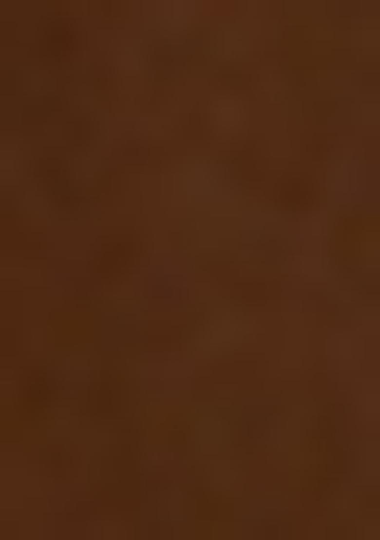 Chocolate Brown Georgette Printed Lehenga Set