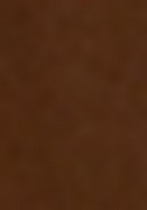 Chocolate Brown Georgette Printed Lehenga Set