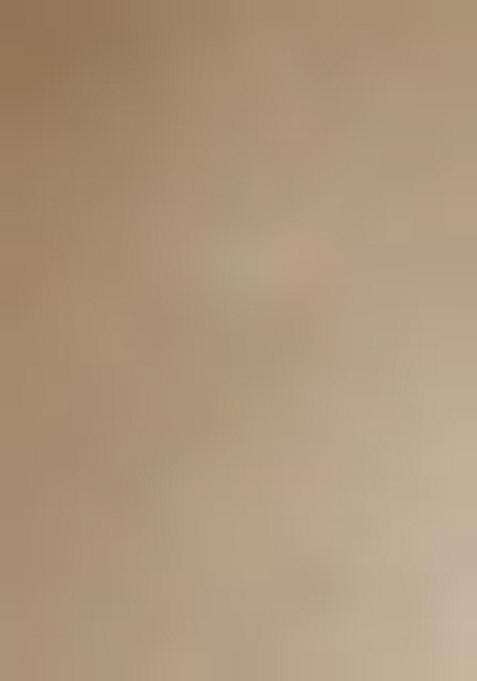 White Georgette Printed Lehenga Set