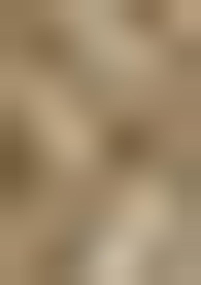 Off White Georgette Embroidered Lehenga Set