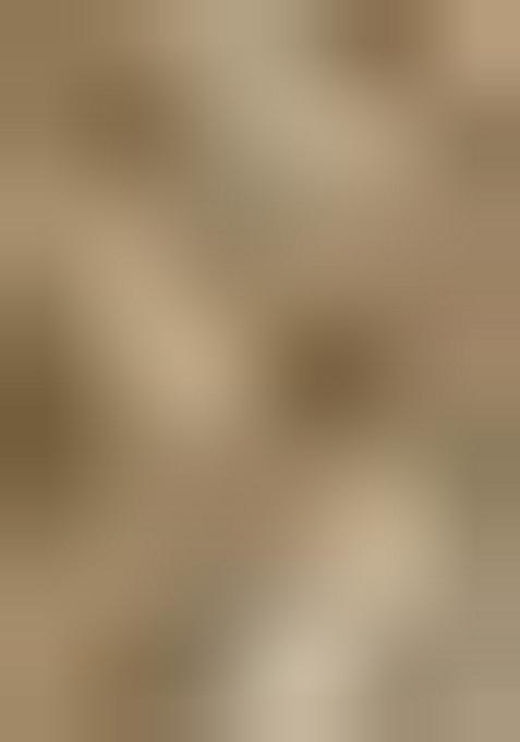 Off White Georgette Embroidered Lehenga Set