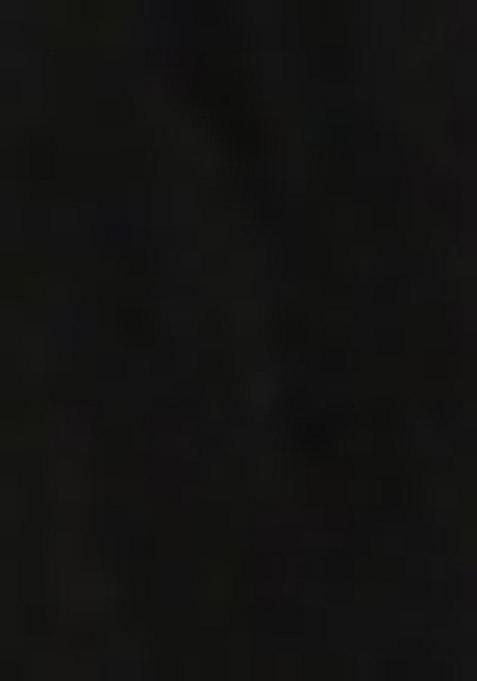 Black Georgette Embroidered Lehenga Set