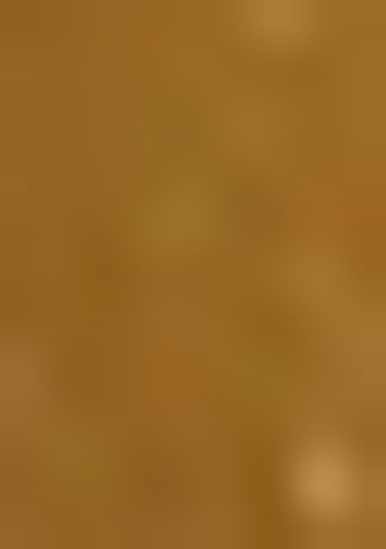 Gold Georgette Embroidered Lehenga Set