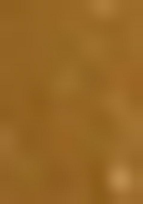 Gold Georgette Embroidered Lehenga Set