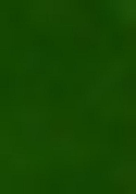 Dark Green Embroidered Blouse With Lehenga Set