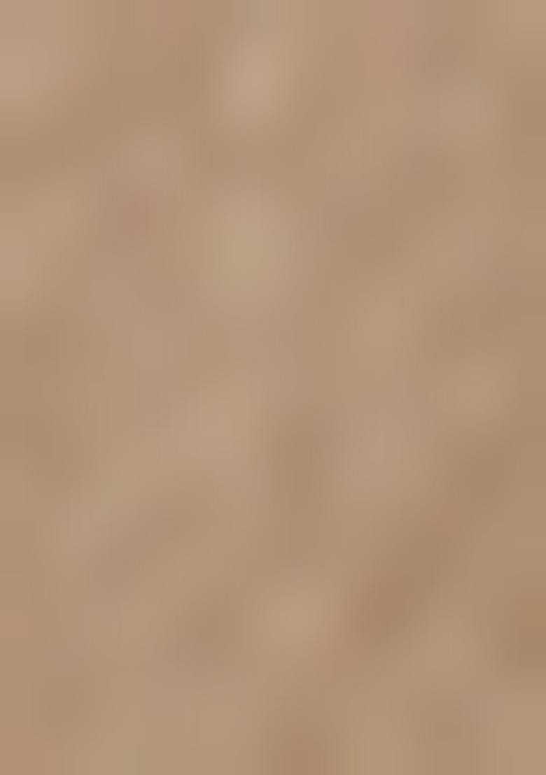 Beige Mirror Work Georgette Lehenga Set