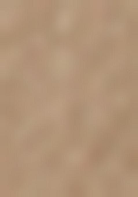 Beige Mirror Work Georgette Lehenga Set