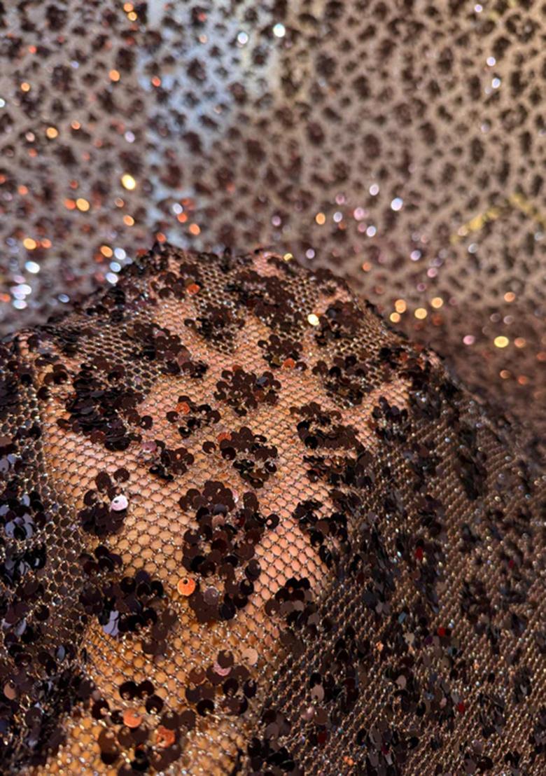 Brown Sequin Embroidered Georgette Lehenga Set - Indya