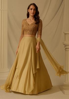 Khaki Sequin Embroidered Chinnon Lehenga Set