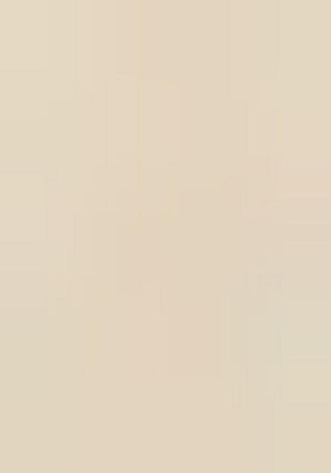 Beige Printed Georgette Lehenga Set