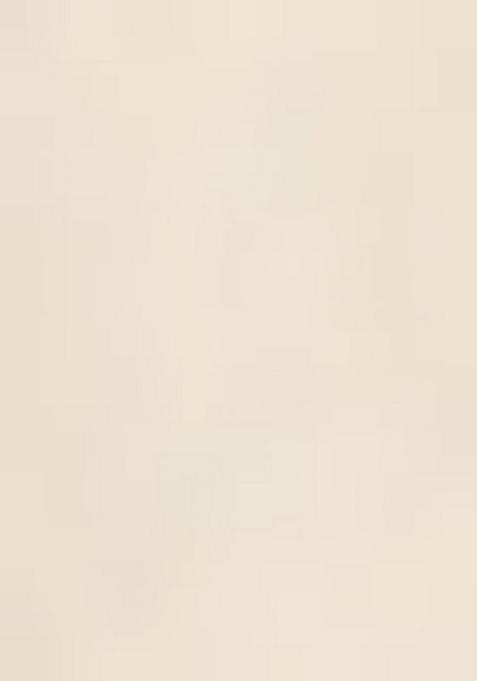 Beige Printed Blouse And Jacket Chinon Lehenga Set