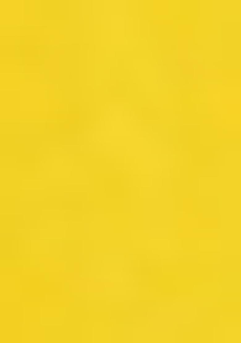 Yellow Embroidered Blouse Georgette Lehenga Set - Indya