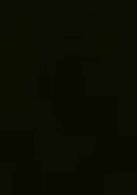 Olive Green Embroidered Velvet Lehenga Set