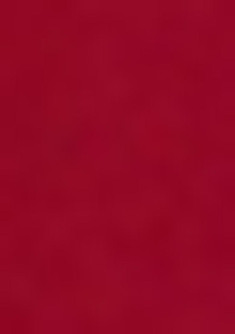 Red Embroidered Crepe Lehenga Set