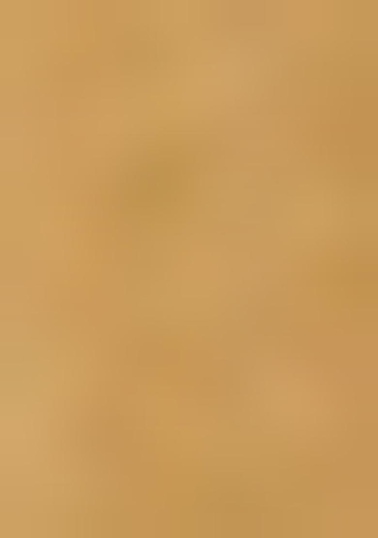 Gold Embellished Blouse Georgette Lehenga Set