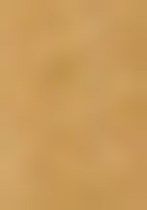 Gold Embellished Blouse Georgette Lehenga Set