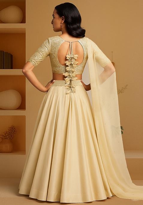 Beige Embellished Blouse Organza Lehenga Set