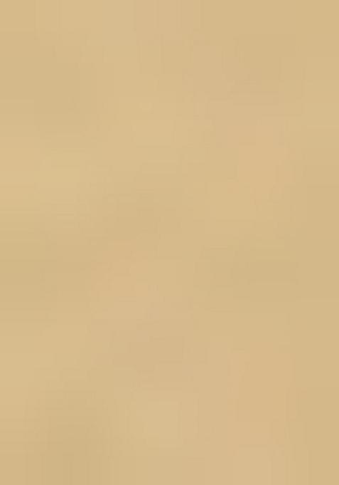 Beige Embellished Blouse Organza Lehenga Set