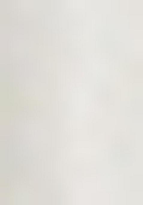 Off White Embellished Blouse Georgette Lehenga Set