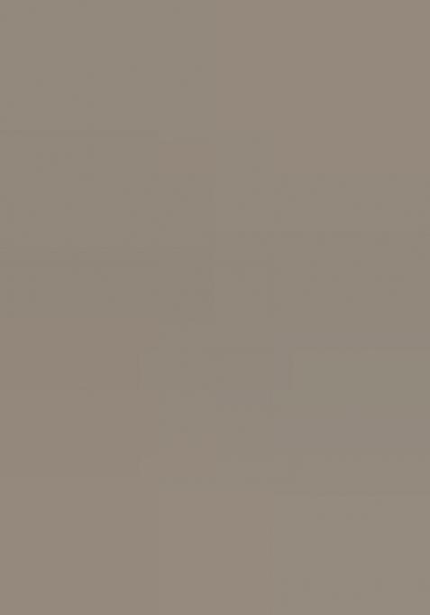 Pastel Grey Chiffon Printed Lehenga Set