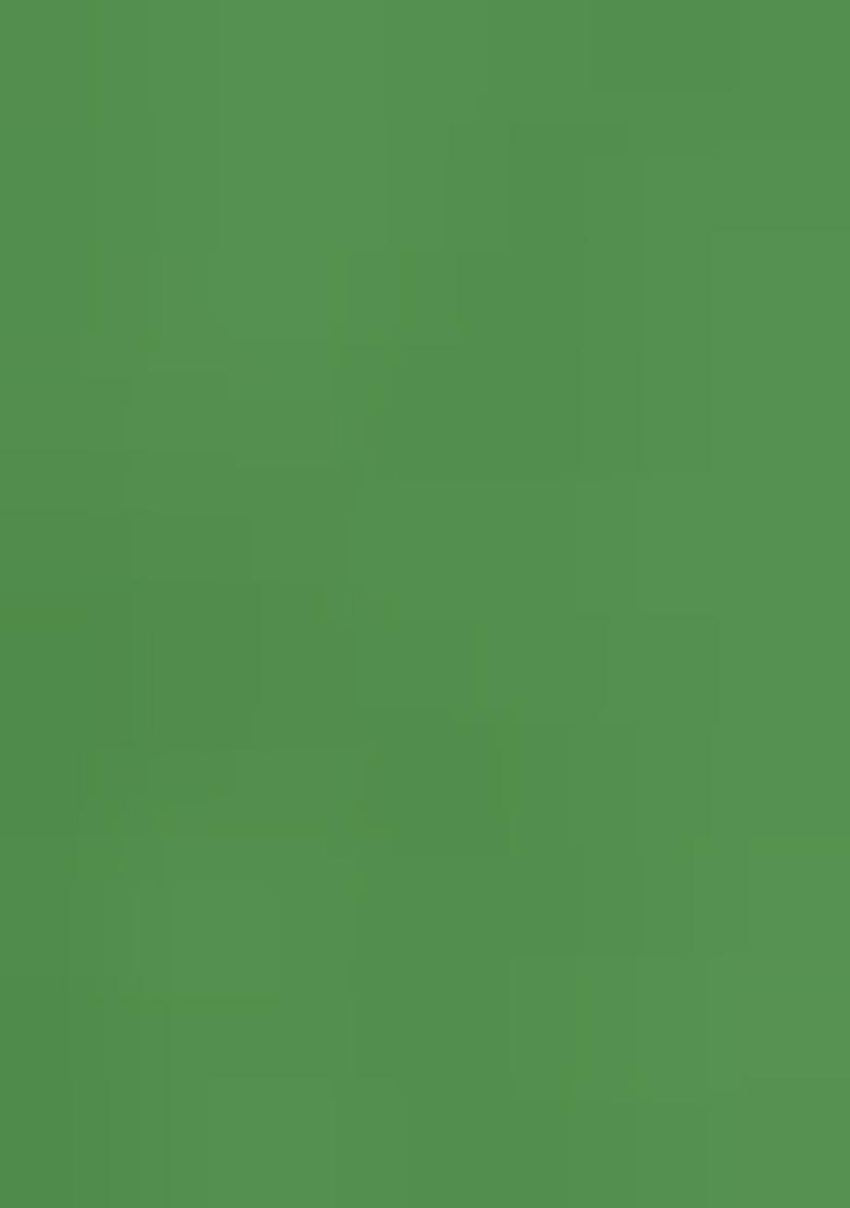 Green Georgette Sequins Embellished Lehenga Set