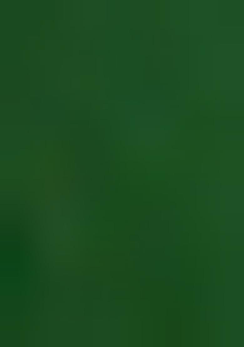 Sage Green Viscose Gerogette Sequin Embellished Lehenga Set - Indya