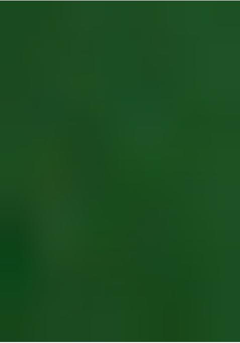 Sage Green Viscose Gerogette Sequin Embellished Lehenga Set