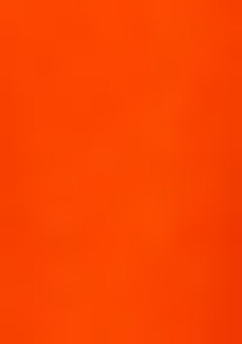 Orange Georgette Printed Lehenga Set