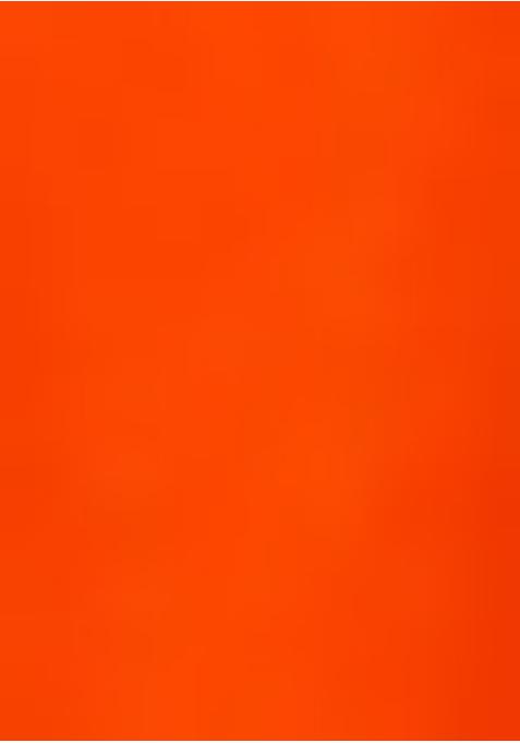 Orange Georgette Printed Lehenga Set