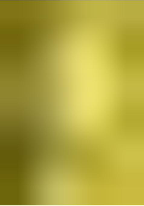 Green Organza Jacquard Lehenga Set