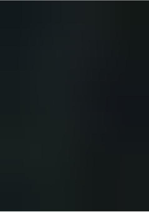 Black Georgette Printed Lehenga Set