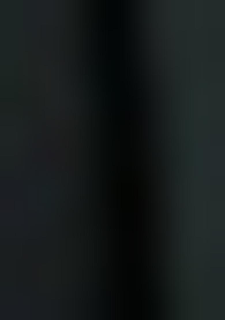 Black Georgette Printed Lehenga Set