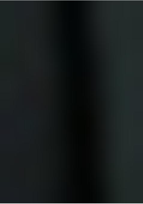 Black Georgette Printed Lehenga Set