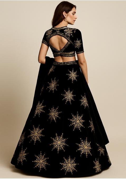 Dark Brown Velvet Sequin Embroidered Lehenga Set
