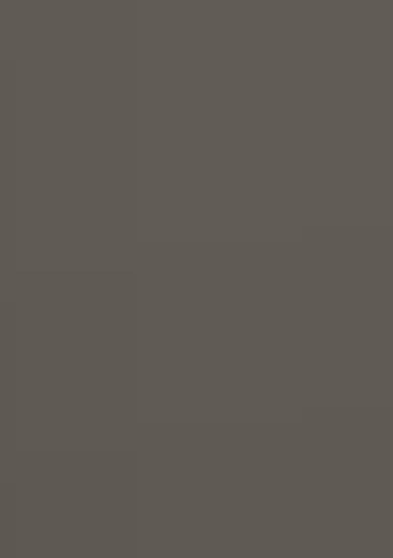 Beige Georgette Printed Lehenga Set