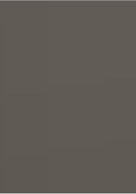 Beige Georgette Printed Lehenga Set