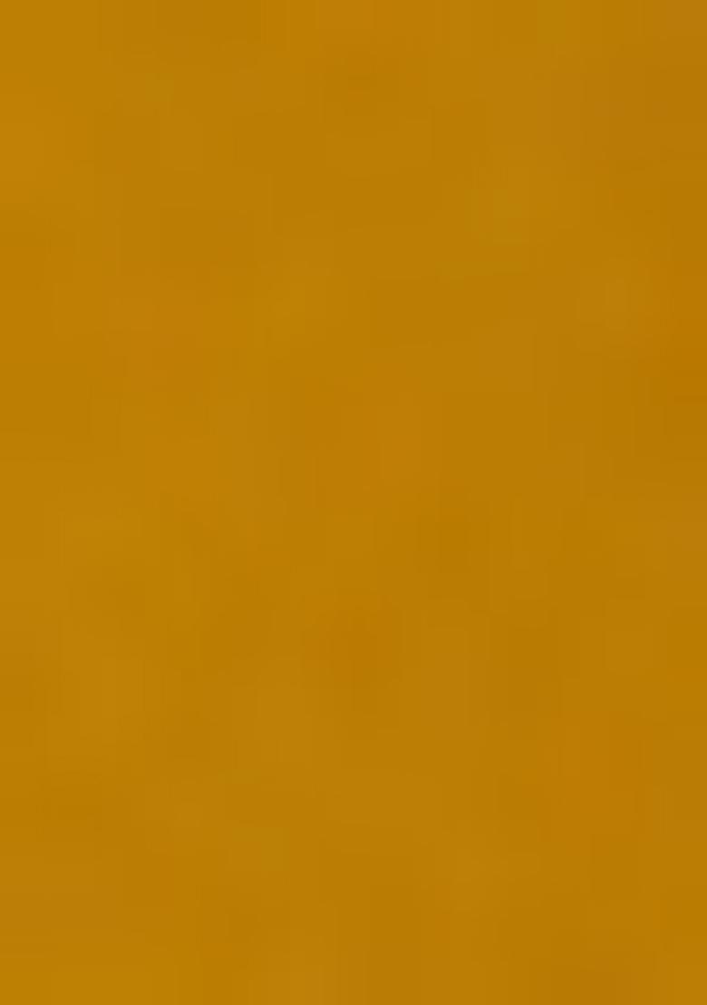 Mustard Yellow Sequin Embroidered Blouse Chinon Lehenga Set