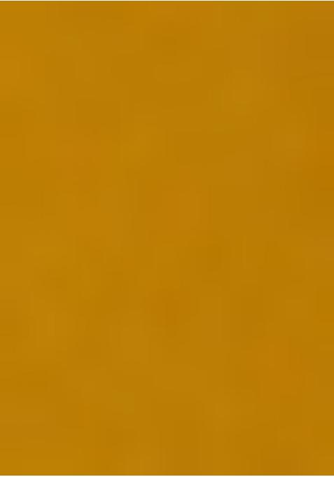 Mustard Yellow Sequin Embroidered Blouse Chinon Lehenga Set