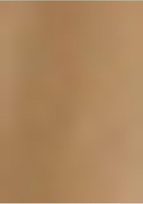 Light Brown Satin Printed Lehenga Set