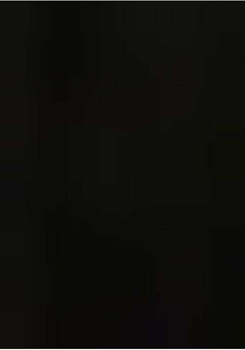 Black Georgette Printed Lehenga Set