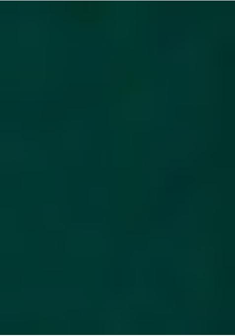 Dark Green Georgette Embroidered Blouse Lehenga Set