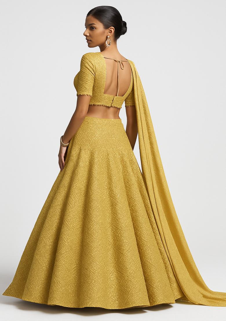 Mustard Sequin Embroidered Georgette Lehenga Set - Indya