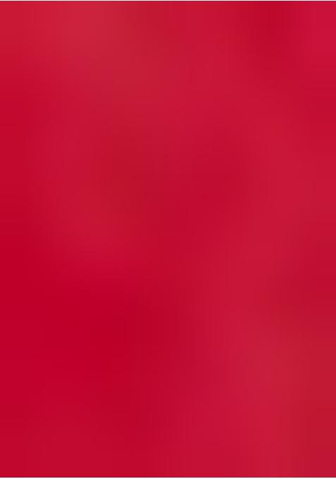 Pink Printed Georgette Lehenga Set