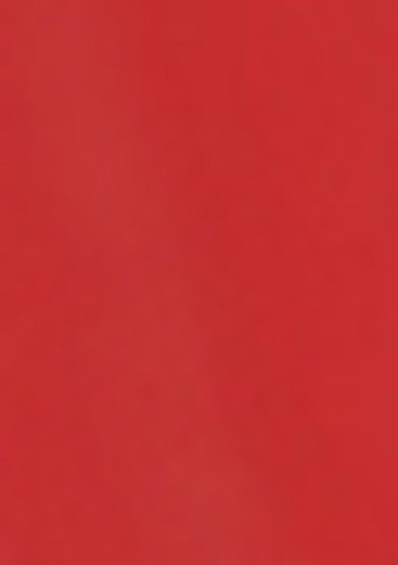 Red Embroidered Net Lehenga Set - Indya