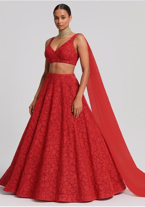 Red Sequin Embroidered Net Lehenga Set