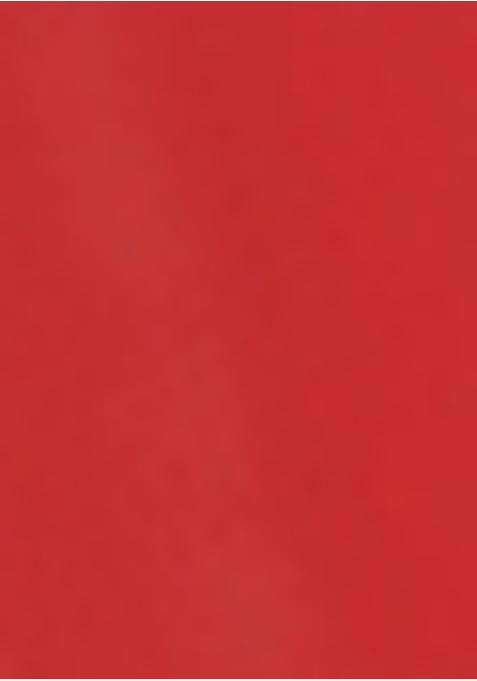 Red Sequin Embroidered Net Lehenga Set